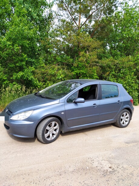 Peugeot 307 I, 2004 г.