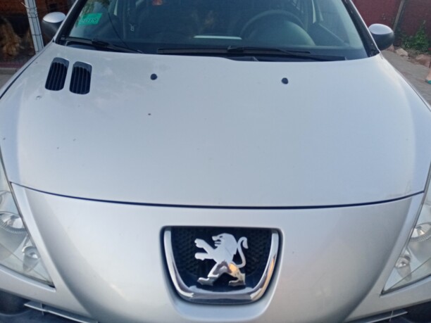 Peugeot 206 Plus, 2010 г.