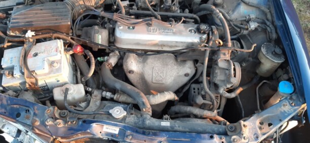 Honda Accord V, 1996 г.