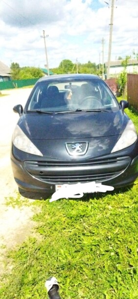 Peugeot 207 I, 2008 г.