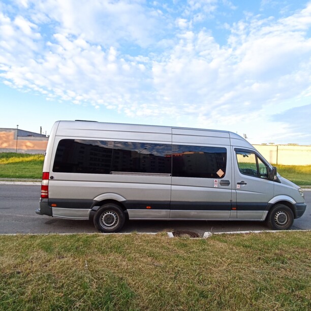 Mercedes-Benz Sprinter, 2009 г.
