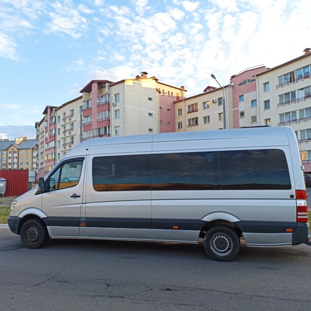 Mercedes-Benz Sprinter, 2009 г.