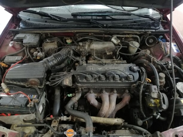 Honda Accord V · Рестайлинг, 1996 г.