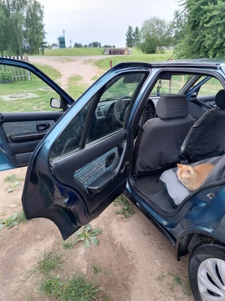 Peugeot 306, 1995 г.