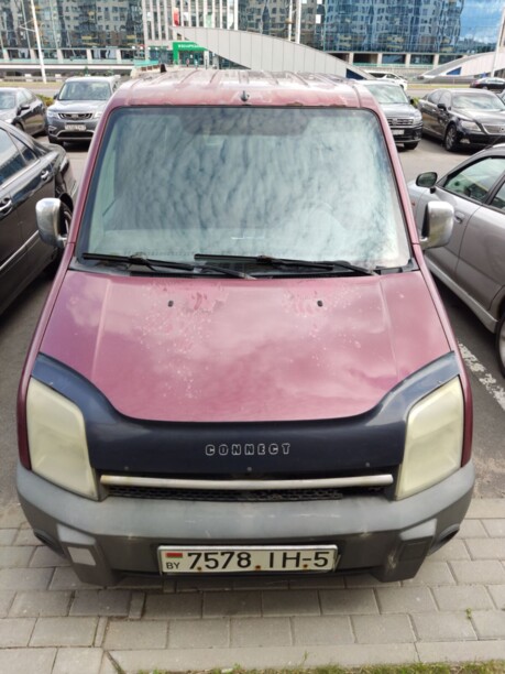 Ford Tourneo Connect I, 2003 г.