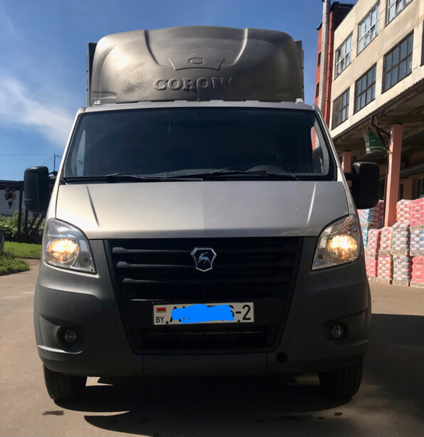 ГАЗ Next A22R33, 2017 г.