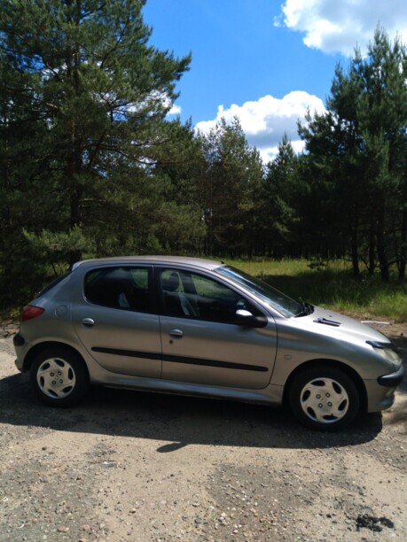 Peugeot 206 I, 2003 г.
