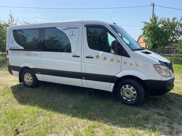 Mercedes-Benz Sprinter 315, 2009 г.