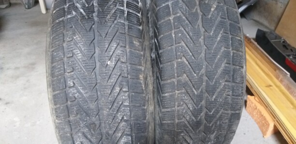 Легковые шины Vredestein WINTRAC 4 XTREME 255/50 R19 2 шт.