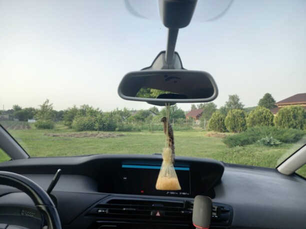 Citroen C4 Grand Picasso II · Рестайлинг, 7 мест, 2016 г.