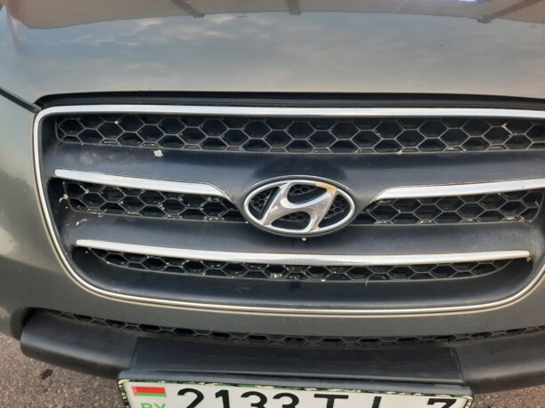Hyundai Santa Fe CM, 2008 г.