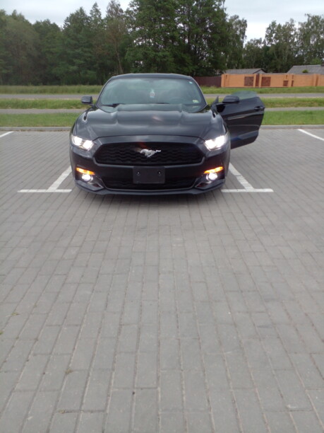 Ford Mustang VI, 2017 г.