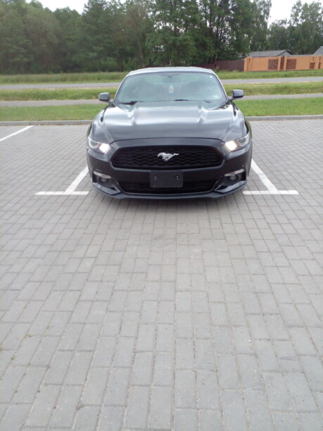 Ford Mustang VI, 2017 г.