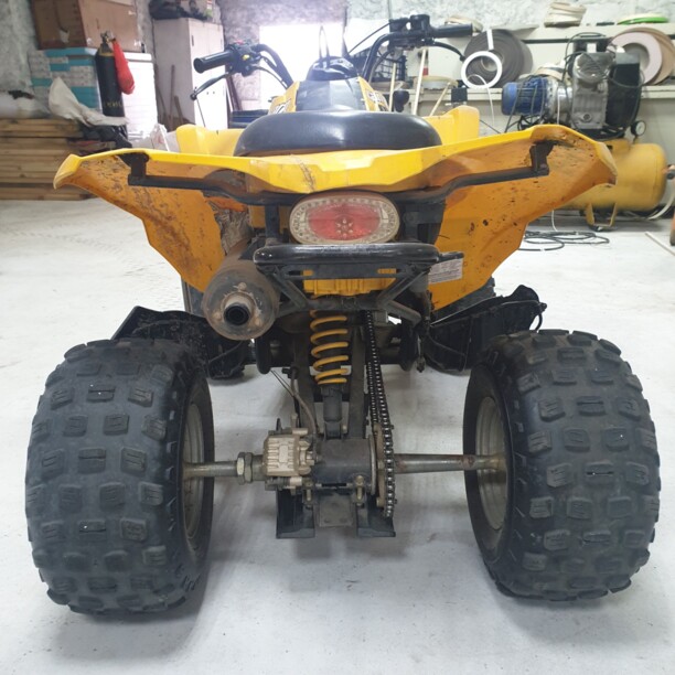 BRP DS, 2006 г.