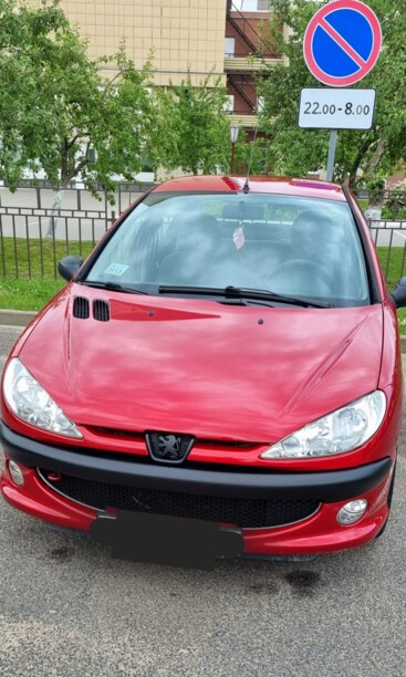 Peugeot 206 I, 2009 г.