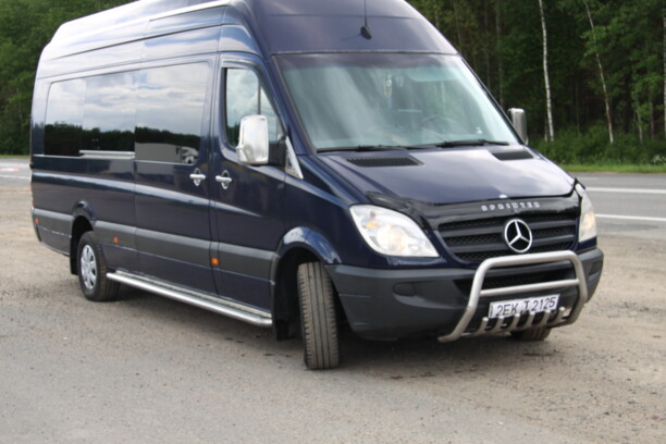 Mercedes-Benz Sprinter 319, 2010 г.