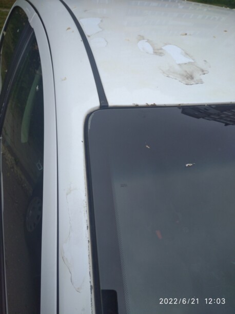Fiat Grande Punto, 2009 г.
