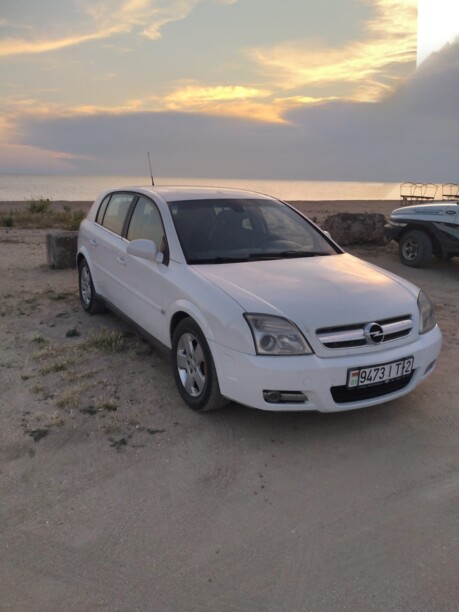 Opel Signum I, 2004 г.