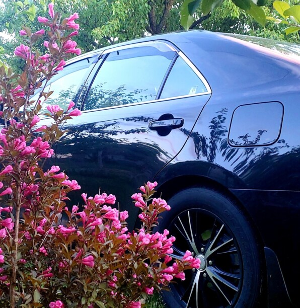 Toyota Camry XV55 · Рестайлинг, 2015 г.