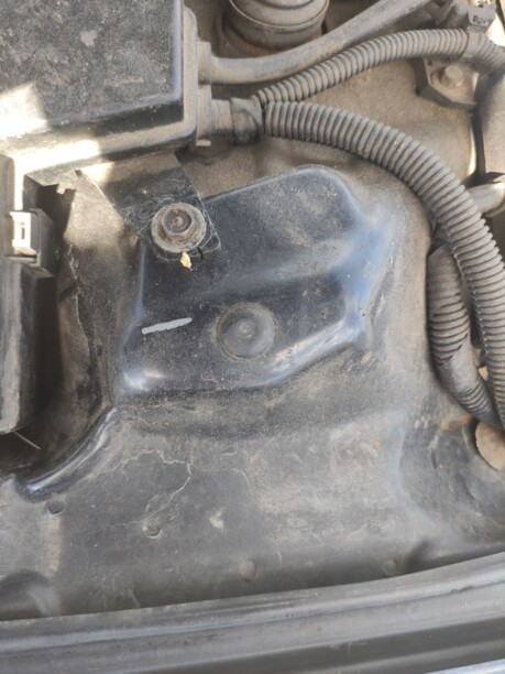 Honda Accord V, 1993 г.