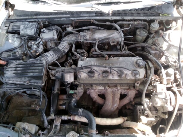 Honda Accord V · Рестайлинг, 1996 г.