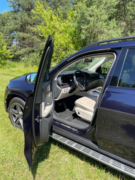 Mercedes-Benz GLS X167, 7 мест, 2019 г.