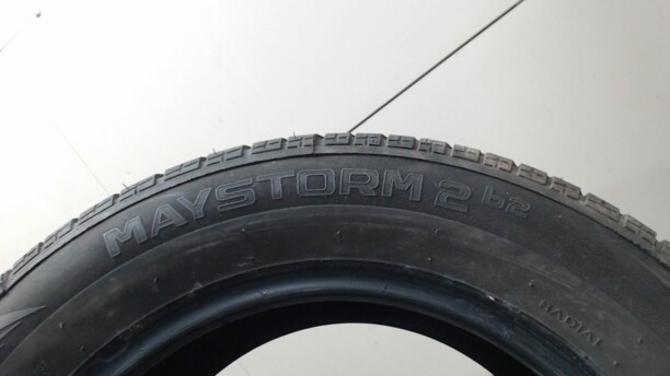 Легковые шины Riken MAYSTORM 2 B2 195/65 R15 1 шт.