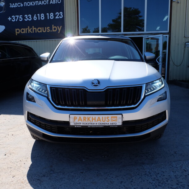Skoda Kodiaq, 2019 г.