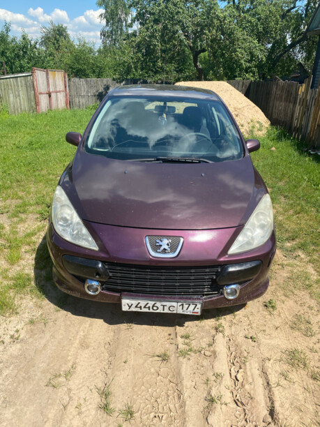 Peugeot 307 I · Рестайлинг, 2007 г.
