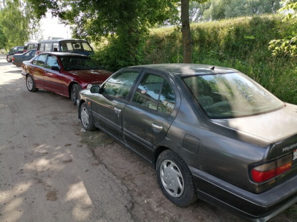 Nissan Primera P11, 1996 г.