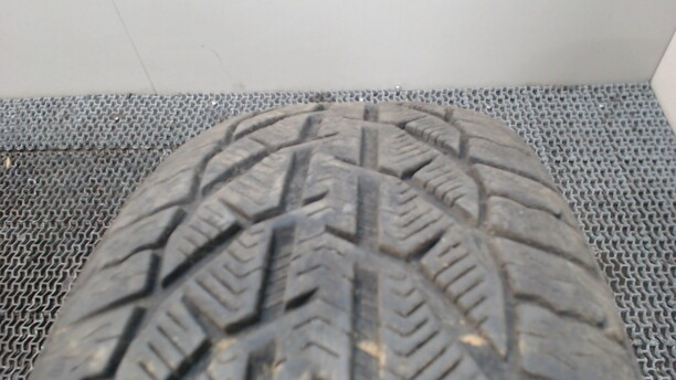 Легковые шины Riken Snow 225/50 R17 2 шт.