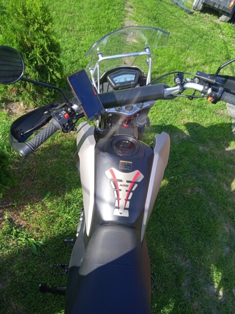 Минск Goose, 2019 г.