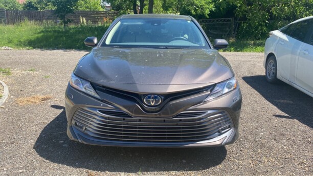 Toyota Camry XV70, 2019 г.