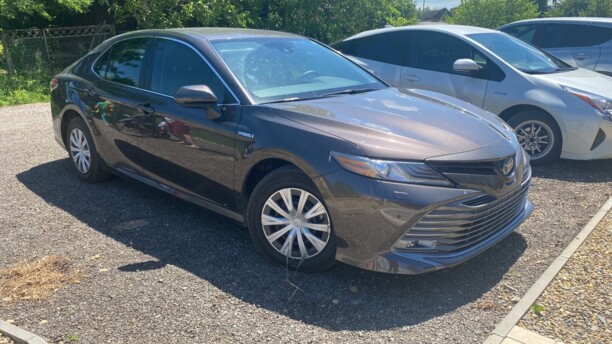 Toyota Camry XV70, 2019 г.