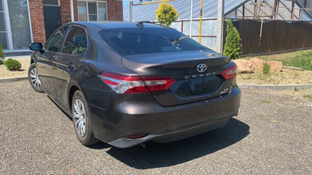 Toyota Camry XV70, 2019 г.
