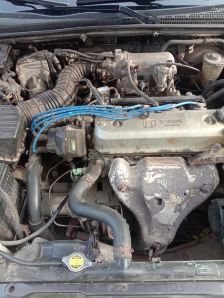 Honda Accord V · Рестайлинг, 1998 г.