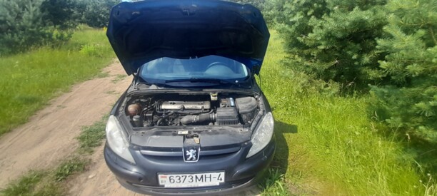 Peugeot 307 I, 2005 г.