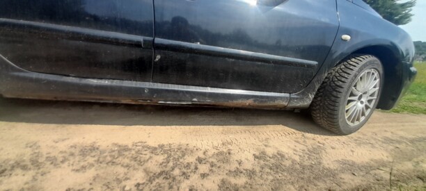 Peugeot 307 I, 2005 г.