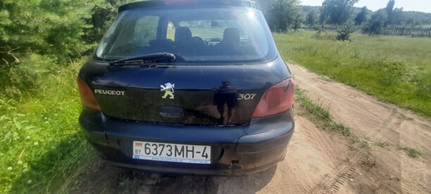 Peugeot 307 I, 2005 г.