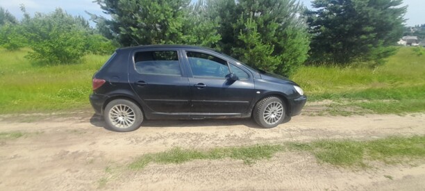 Peugeot 307 I, 2005 г.