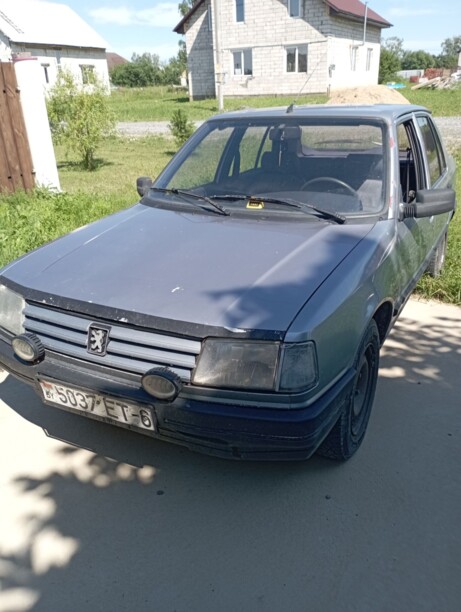 Peugeot 309 I · Рестайлинг, 1991 г.