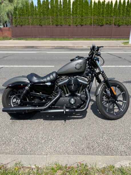 Harley-Davidson Sportster, 2019 г.