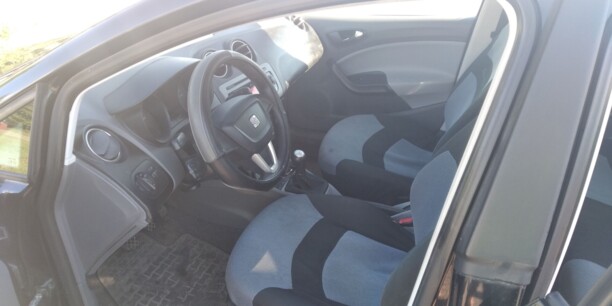 SEAT Ibiza IV, 2009 г.