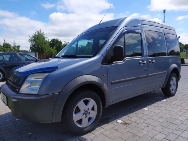Ford Tourneo Connect I, 2004 г.