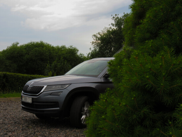 Skoda Kodiaq, 2018 г.