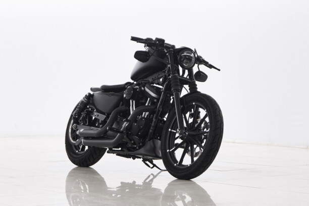 Harley-Davidson Sportster 883, 2019 г.