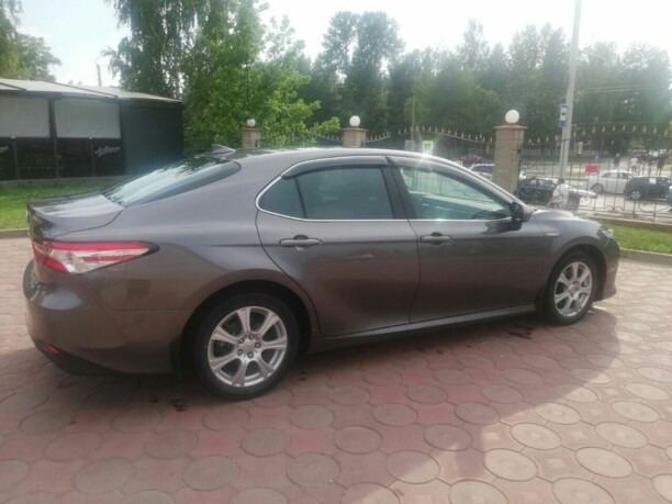 Toyota Camry XV70, 2019 г.