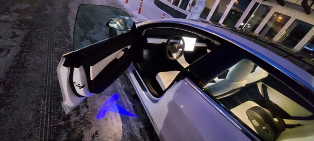 Tesla Model 3, 2020 г.