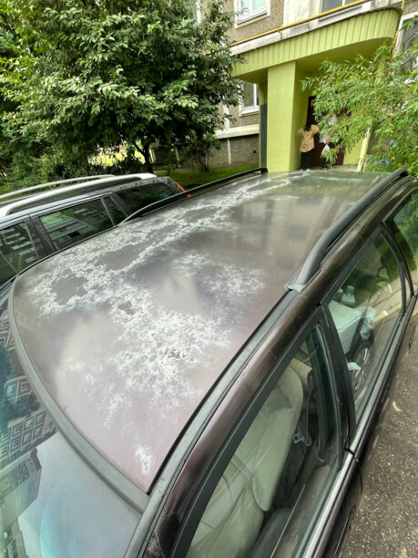 Nissan Primera P10, 1993 г.