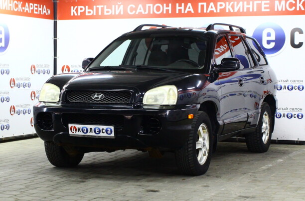 Hyundai Santa Fe SM, 2002 г.